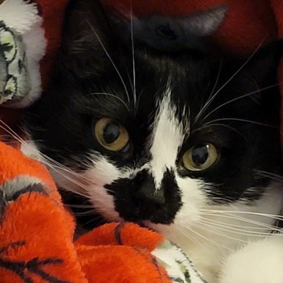 Meet your Posher, Christine - Picture 7 of 15